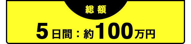 5日間約100万円