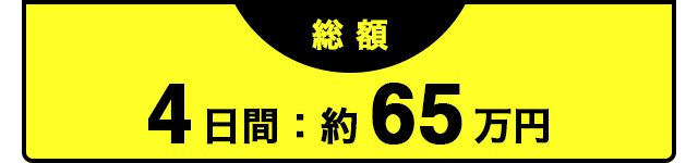 4日間約65万円